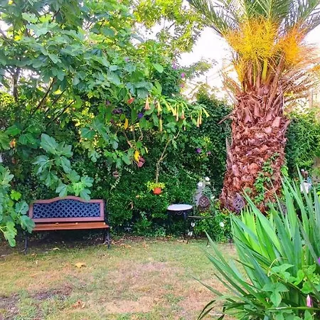 Pisos Vistalegre 2a Con Jardin Tranquilos Cerca Del Mar Appartement *